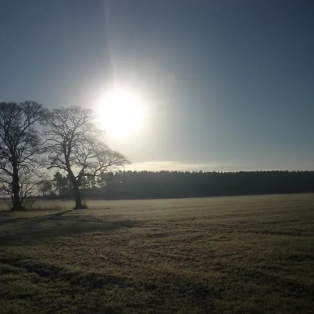 Bed & Breakfast Wood Farm 4*