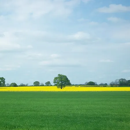 Wood Farm Shipton (North Yorkshire)